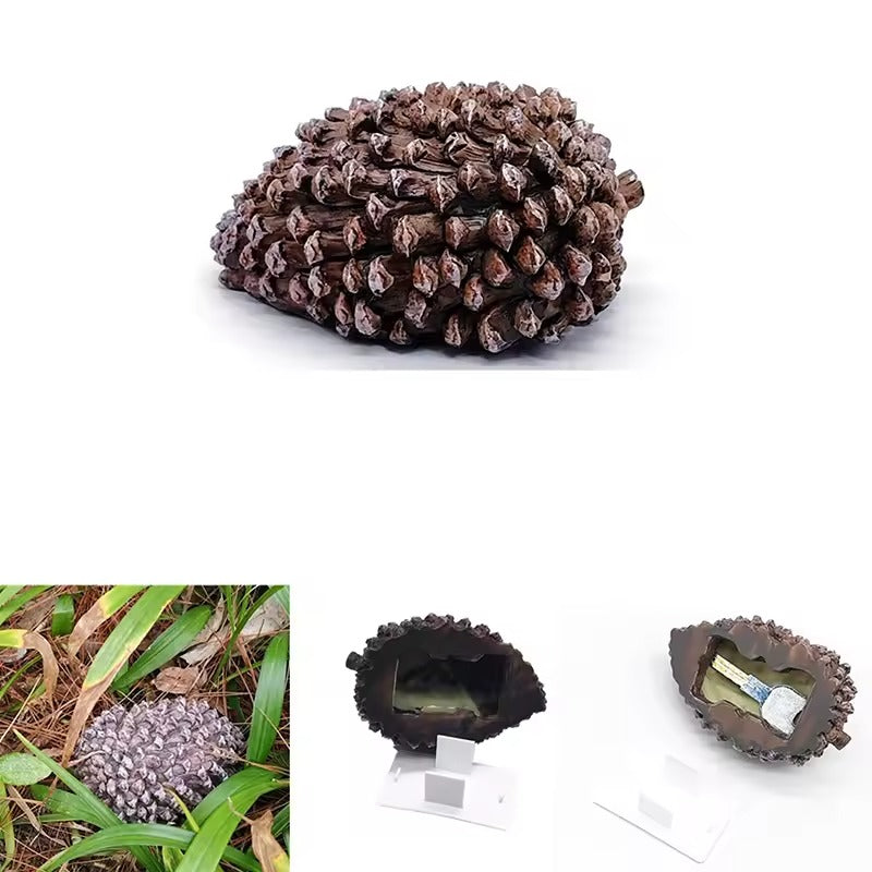 PineConeSafe™ Outdoor Key Hider – Hidden Garden Storage Box for Spare Keys