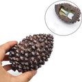 PineConeSafe™ Outdoor Key Hider – Hidden Garden Storage Box for Spare Keys