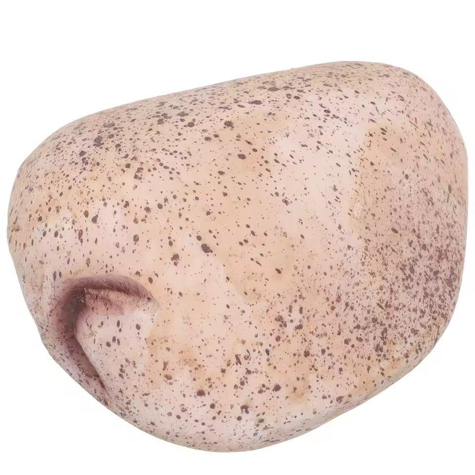 StoneGuard™ Fake Rock Key Hider – Waterproof Outdoor Key Storage Box