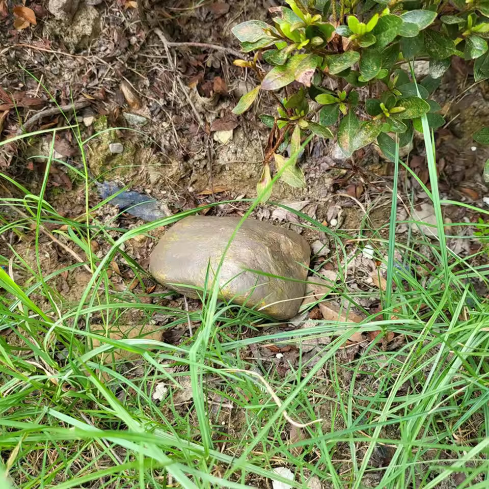 StealthRock™ Waterproof Fake Stone Key Safe – Outdoor Hidden Storage Box