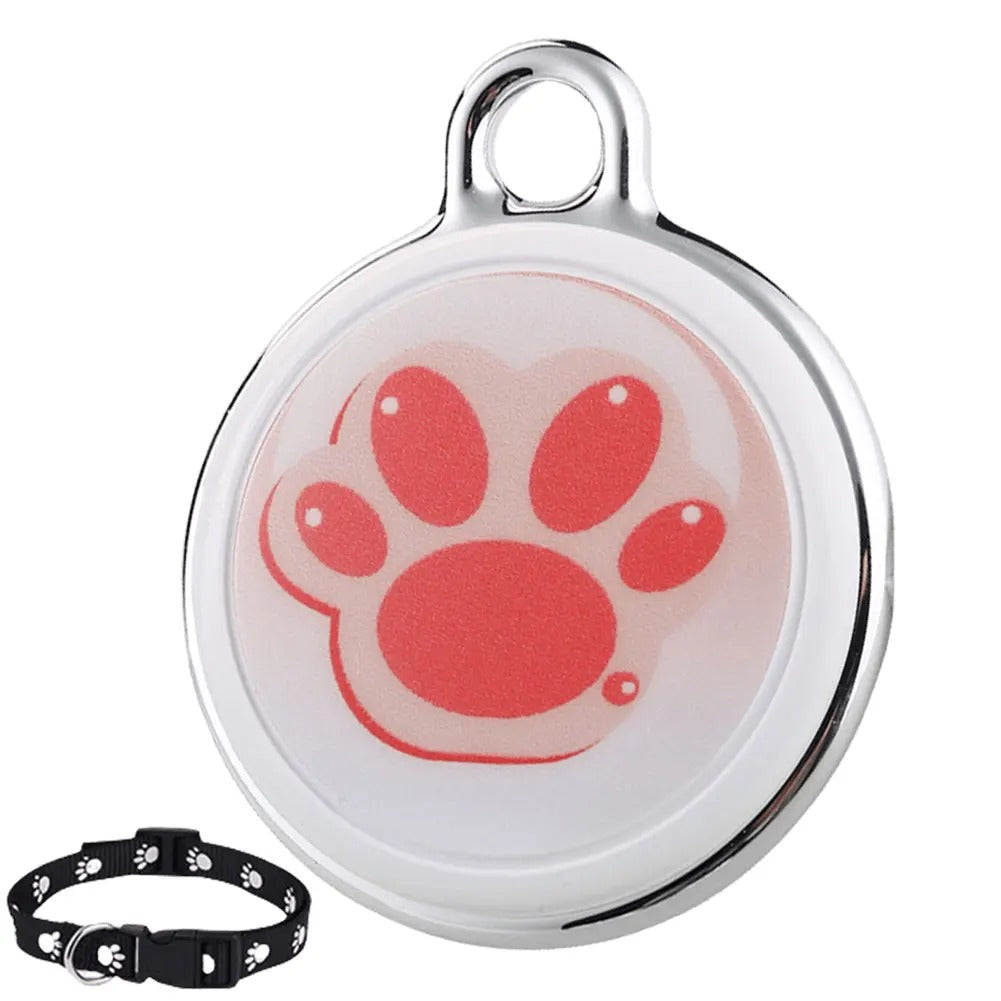Smart GPS Pet Tracker with Collar