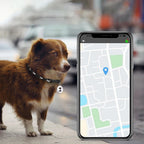 Smart GPS Pet Tracker with Collar