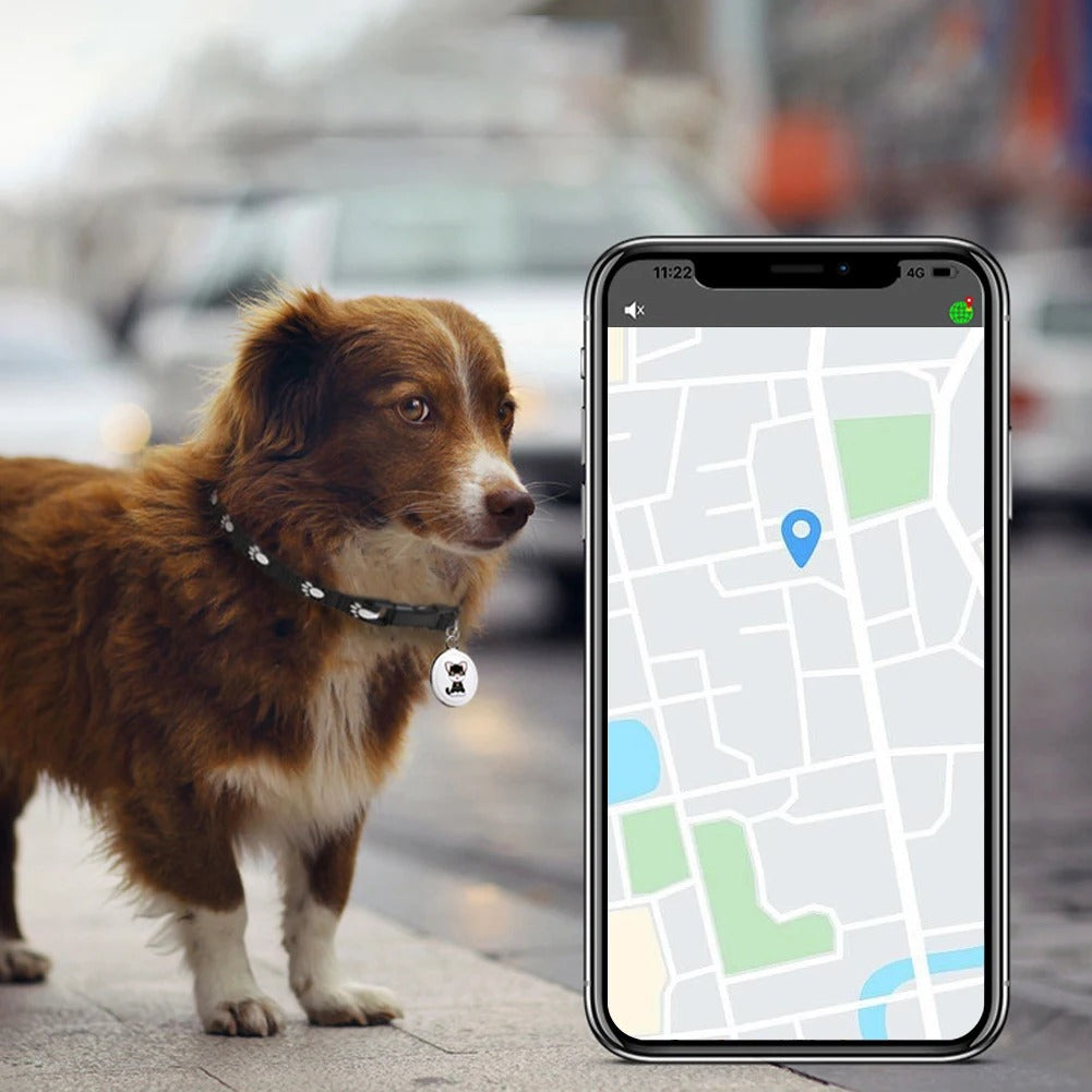 Smart GPS Pet Tracker with Collar