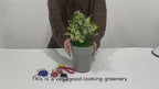 Hidden Safe Flower Pot